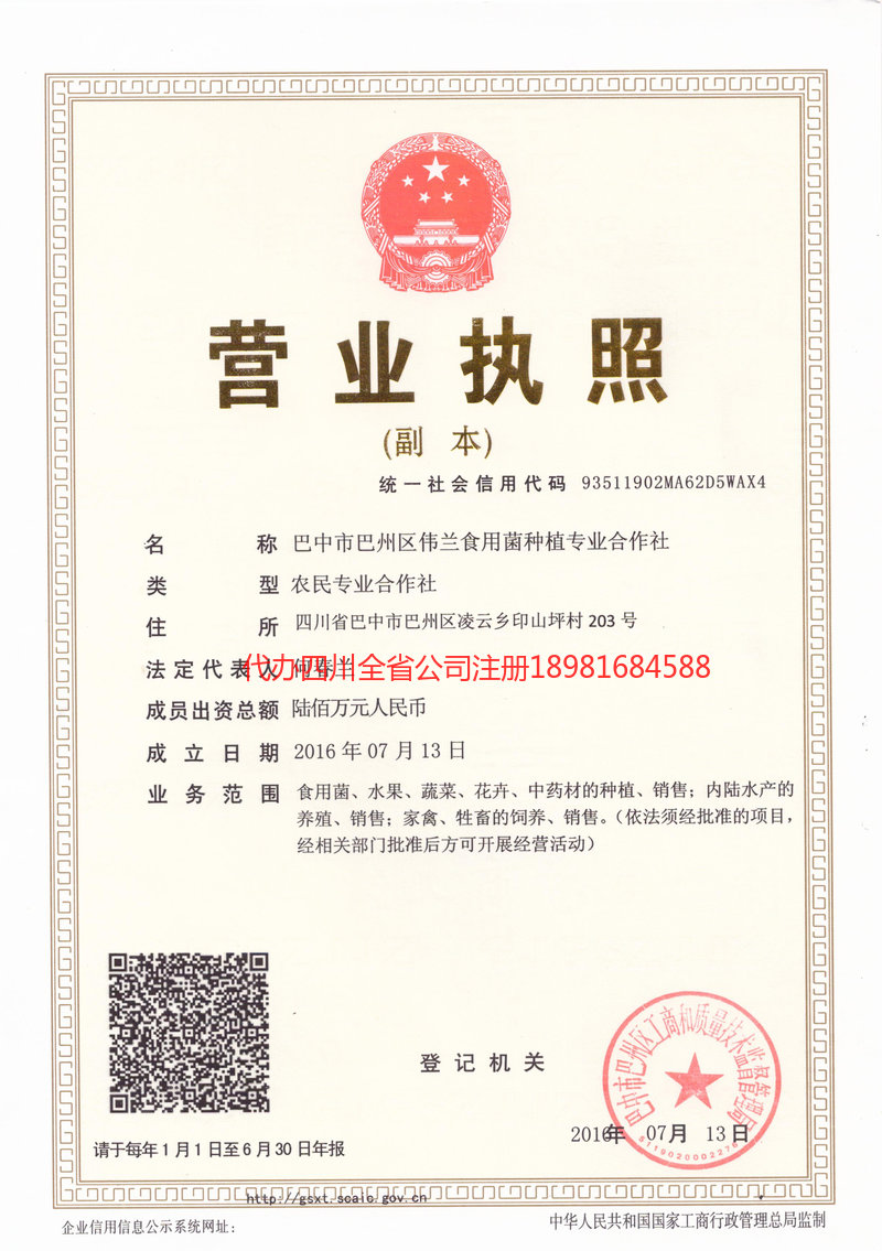 长寿长寿伟兰食用菌种植专业合作社